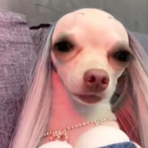 Meet your Posher, Gia